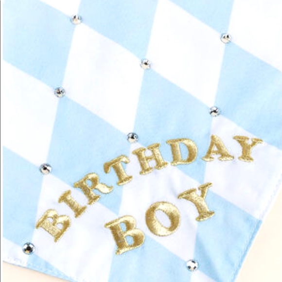 Francesca’s Collections Birthday Boy Bandana - Picture 3 of 8